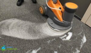 Professional Carpet Cleaning