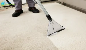 Steam Cleaner vs Carpet Cleaner(2)